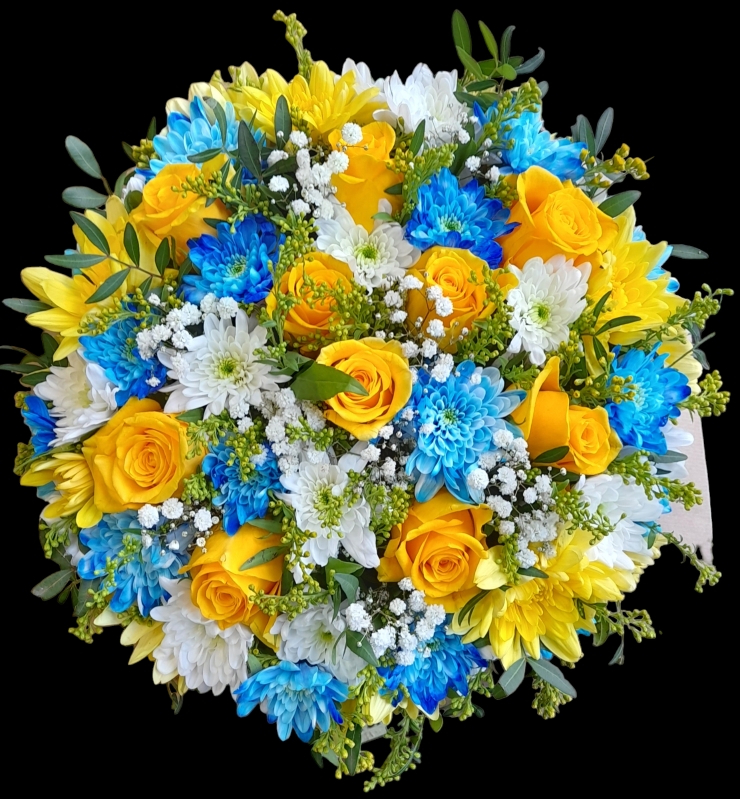 Posy pad yellow,  blue