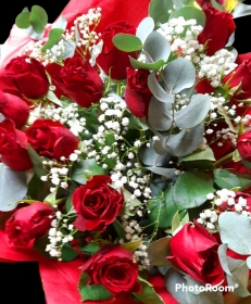 15 red roses