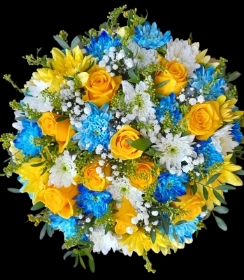 Posy pad yellow,  blue