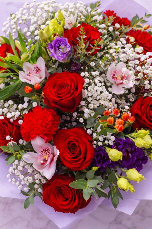Fleur Royal