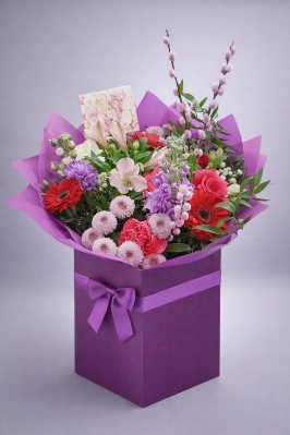 Spring beauty
