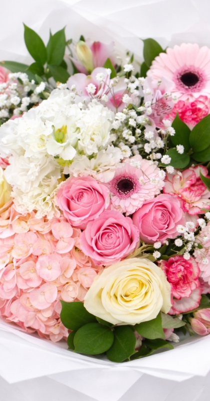 Pink Delight